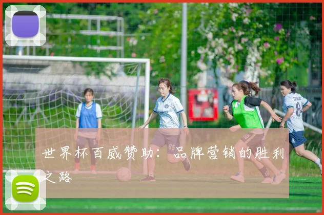 世界杯百威赞助:品牌营销的胜利之路