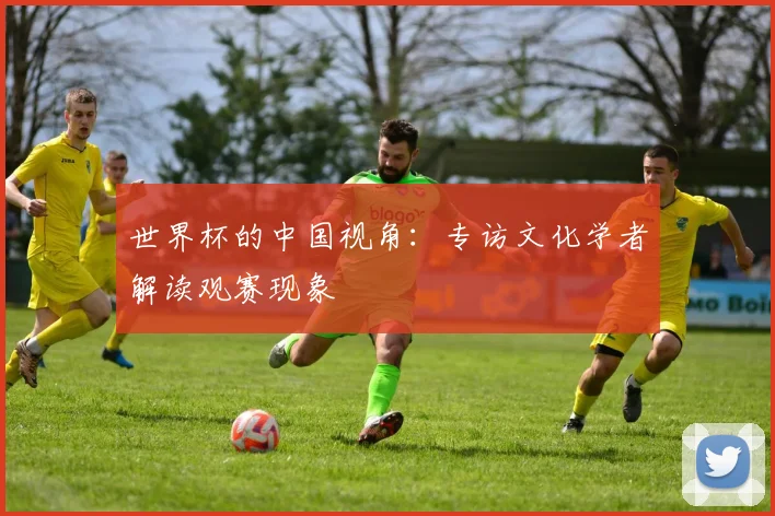 世界杯的中国视角:专访文化学者解读观赛现象
