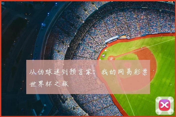 从伪球迷到预言家:我的网易彩票世界杯之旅